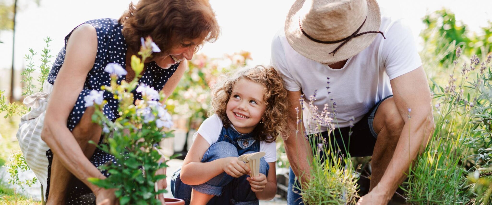 senior couple planting a garden with their grandchild